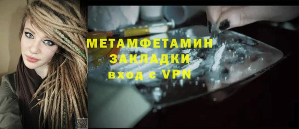 прущие грибы Куйбышев