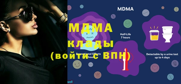 прущие грибы Куйбышев