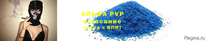 прущие грибы Куйбышев