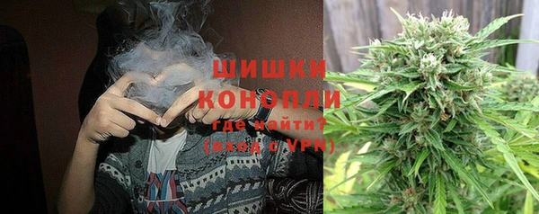 прущие грибы Куйбышев