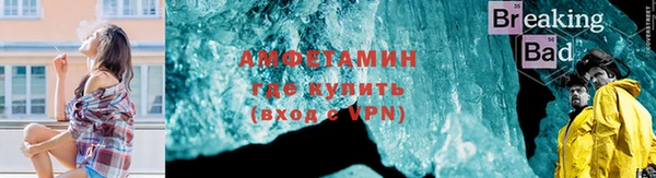 прущие грибы Куйбышев